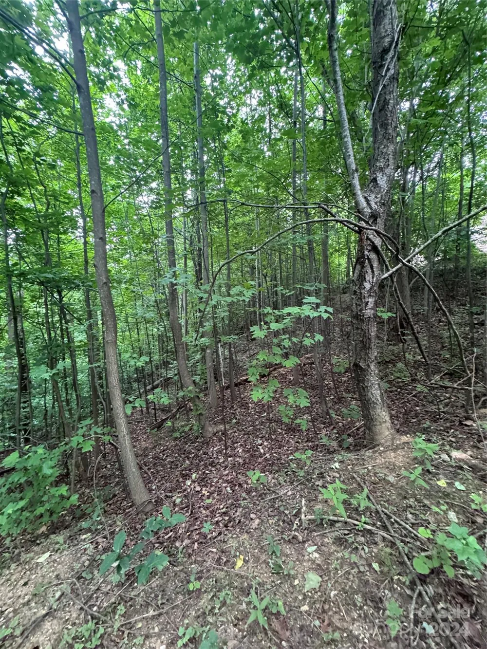 0 Holland Drive #18 Columbus, NC 28722
