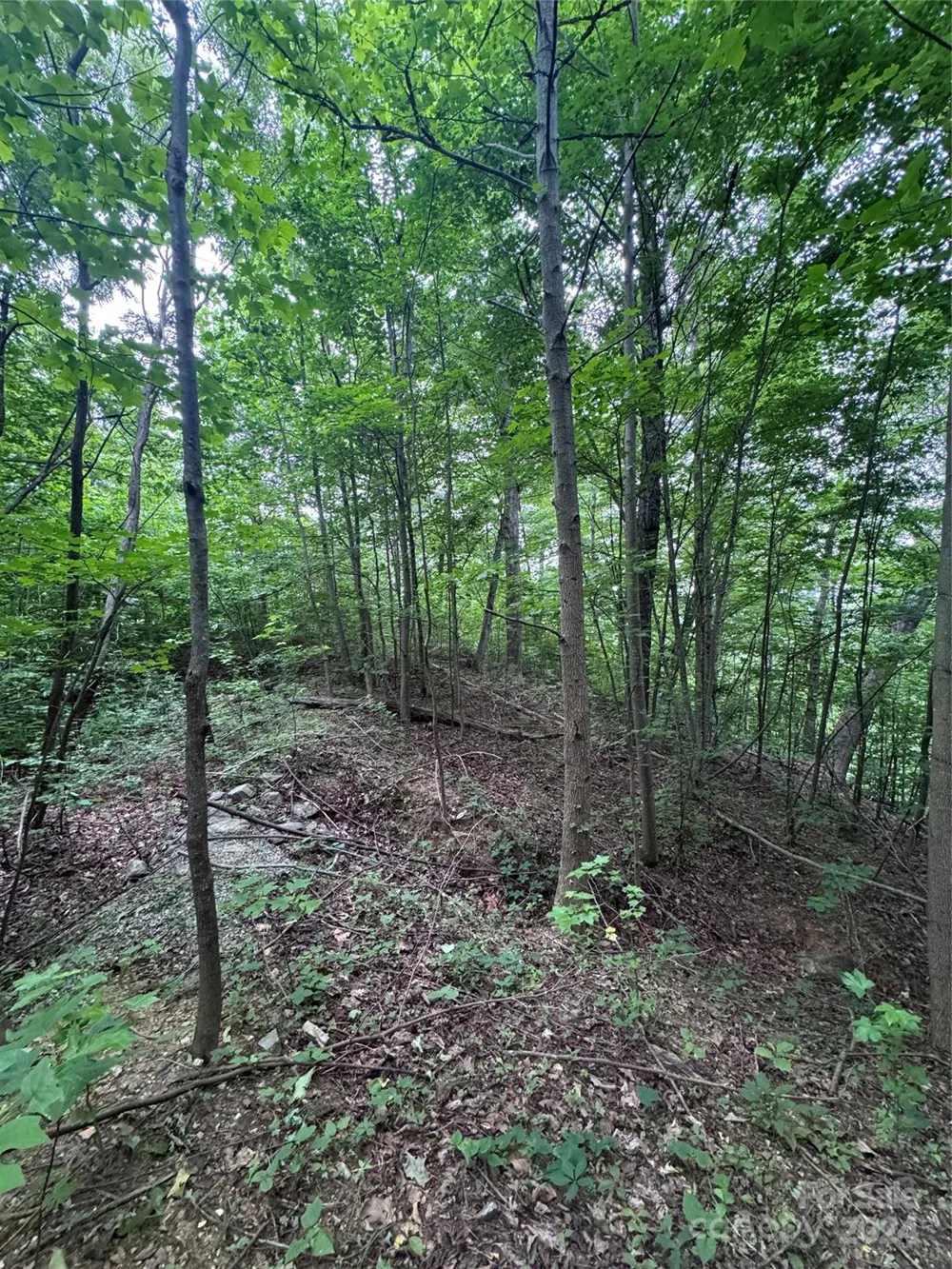 0 Holland Drive #18 Columbus, NC 28722