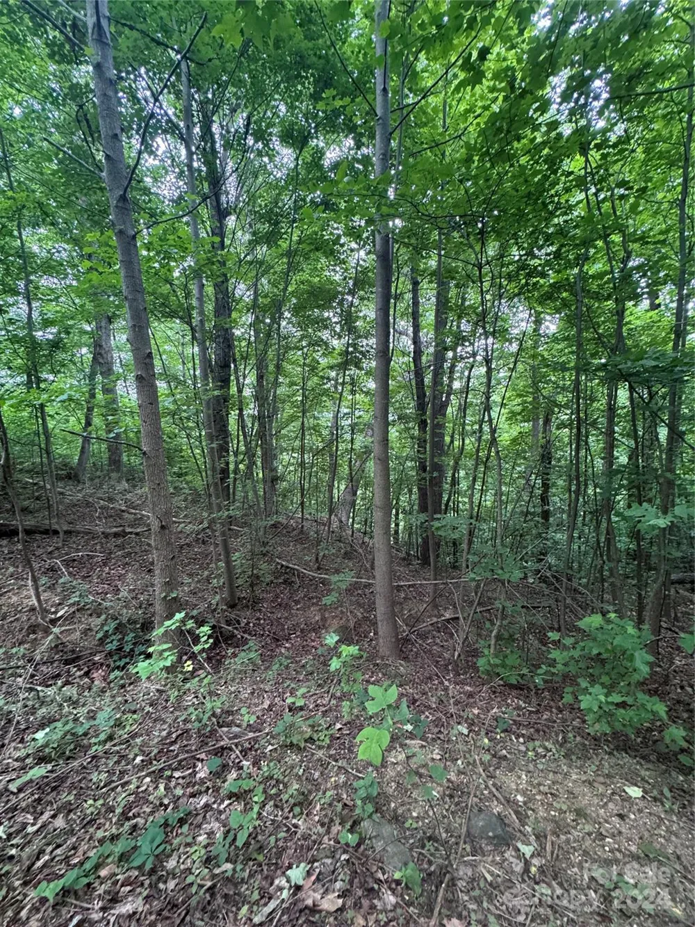 0 Holland Drive #18 Columbus, NC 28722