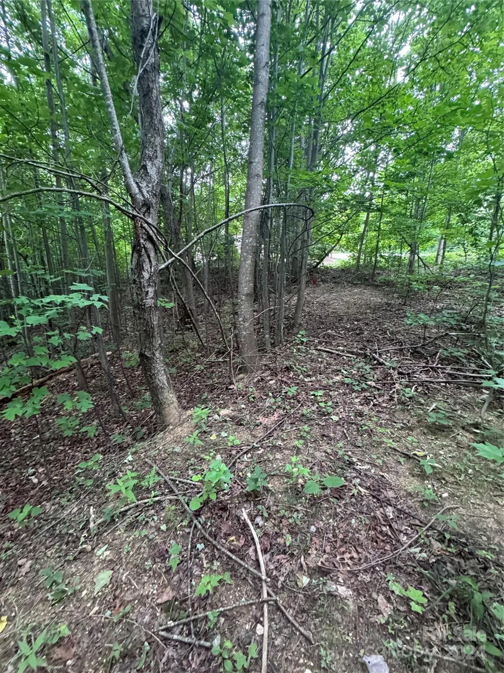 0 Holland Drive #18 Columbus, NC 28722