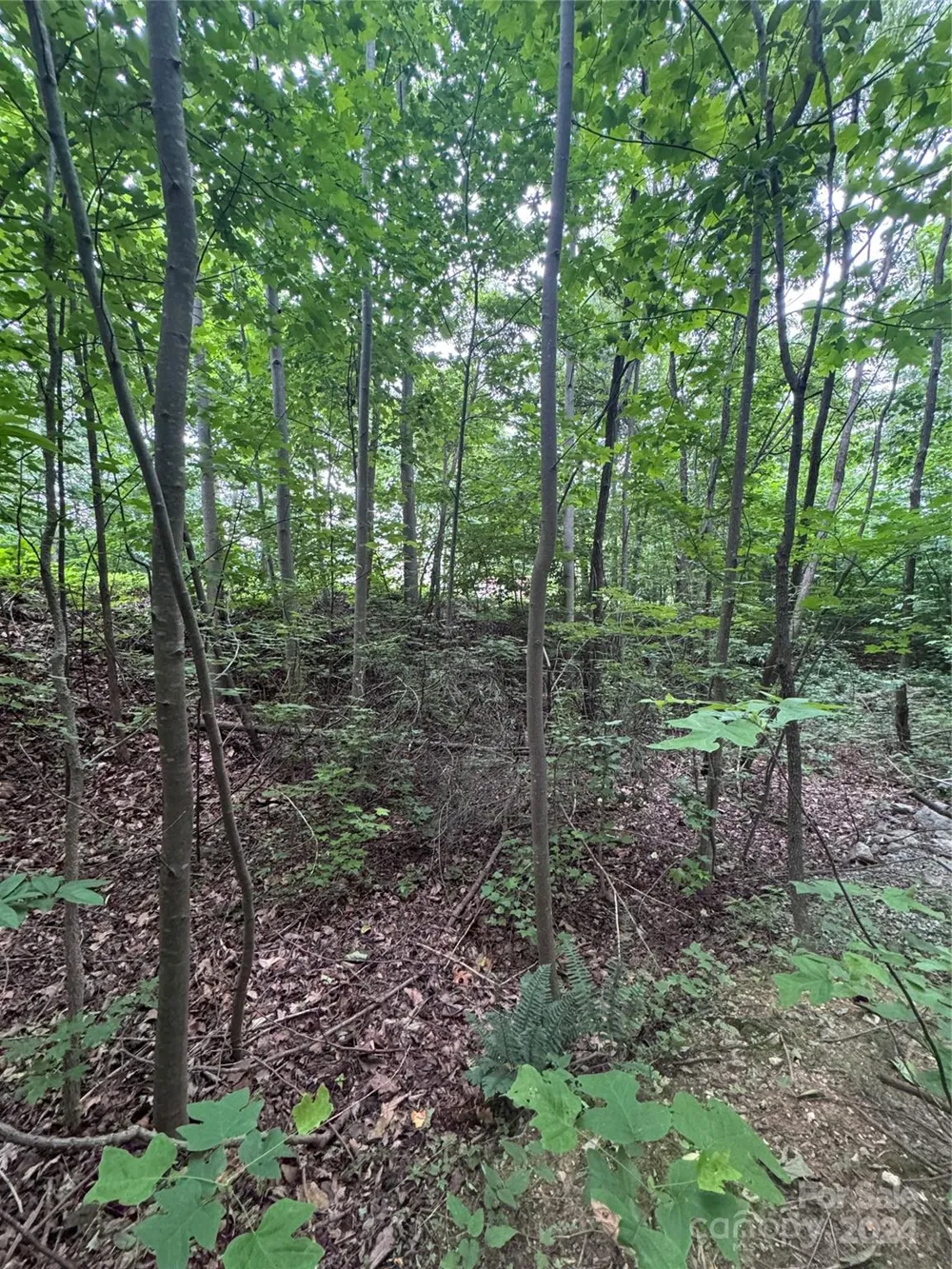 0 Holland Drive #18 Columbus, NC 28722