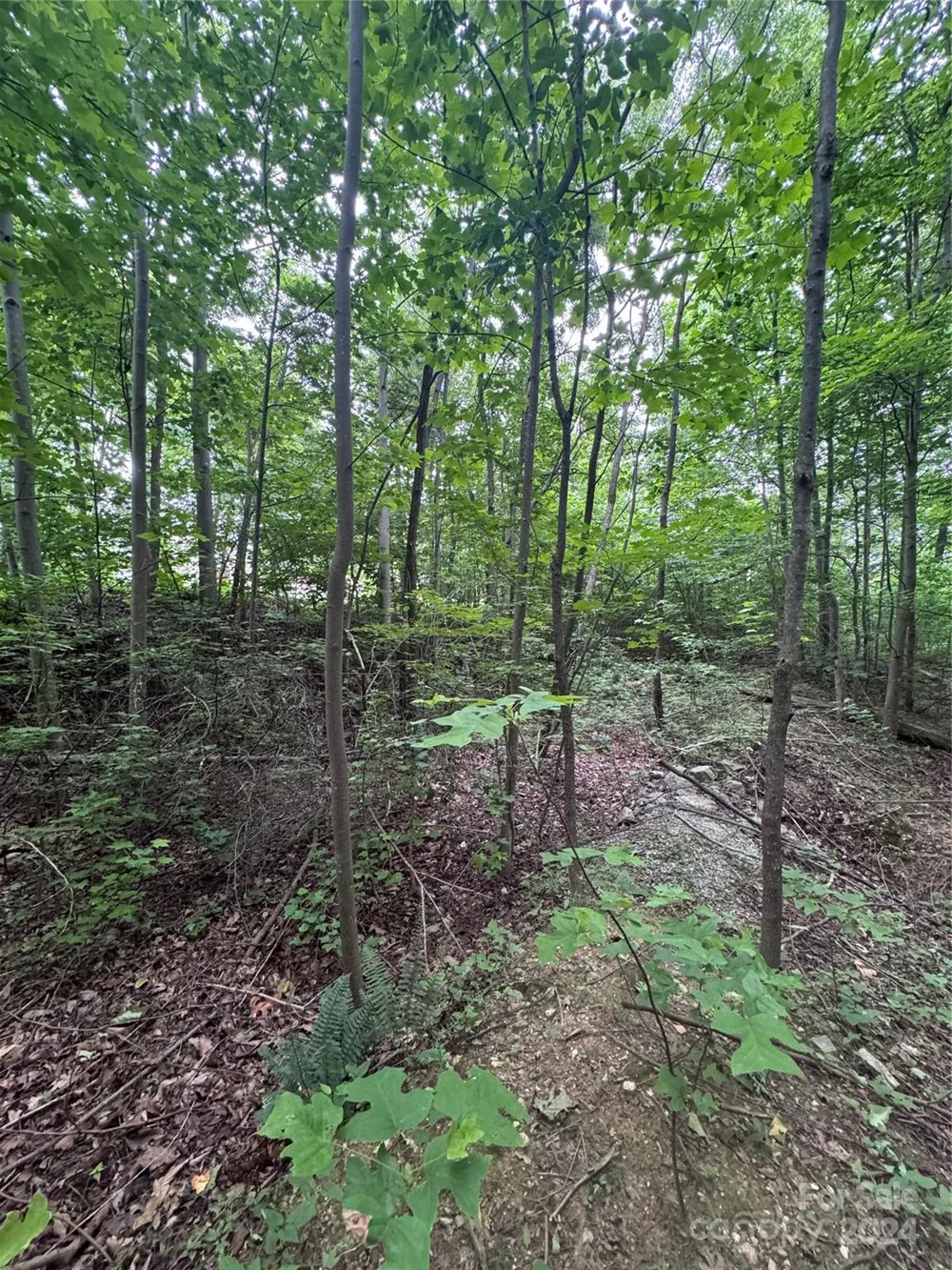 0 Holland Drive #18 Columbus, NC 28722