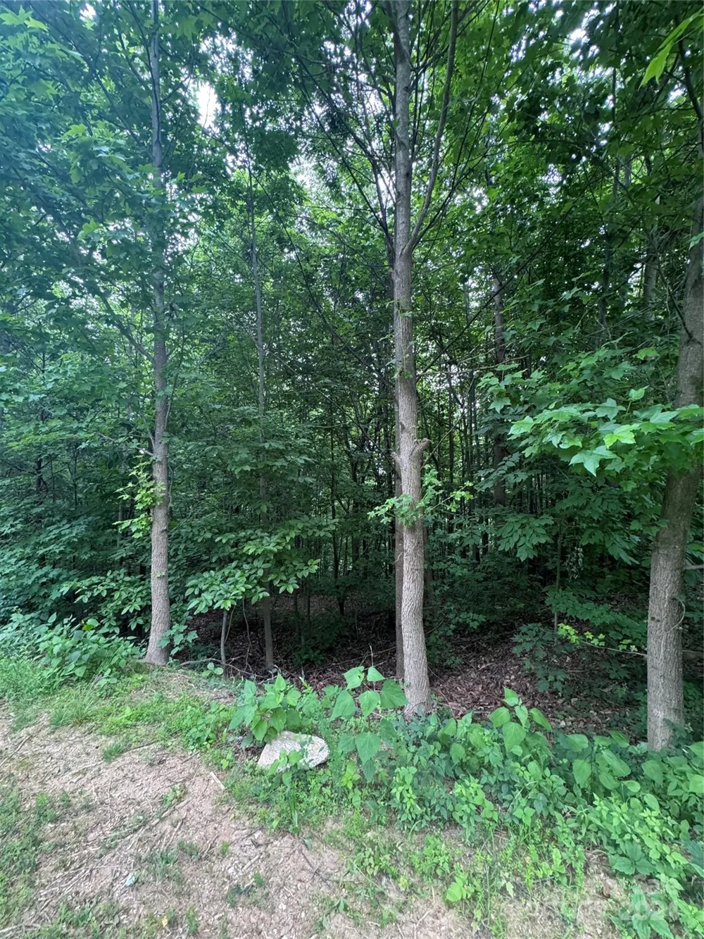 0 Holland Drive #18 Columbus, NC 28722