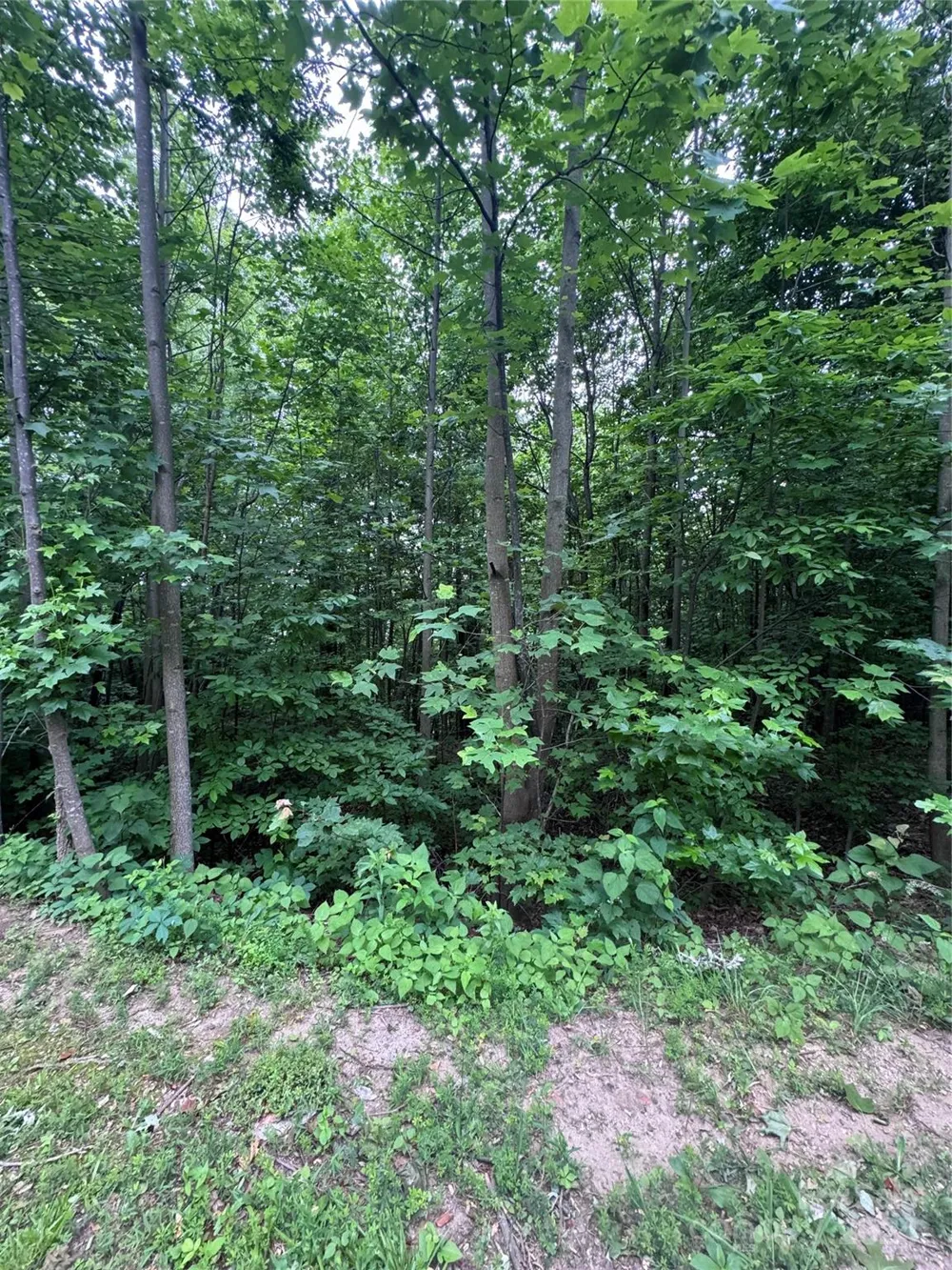 0 Holland Drive #18 Columbus, NC 28722