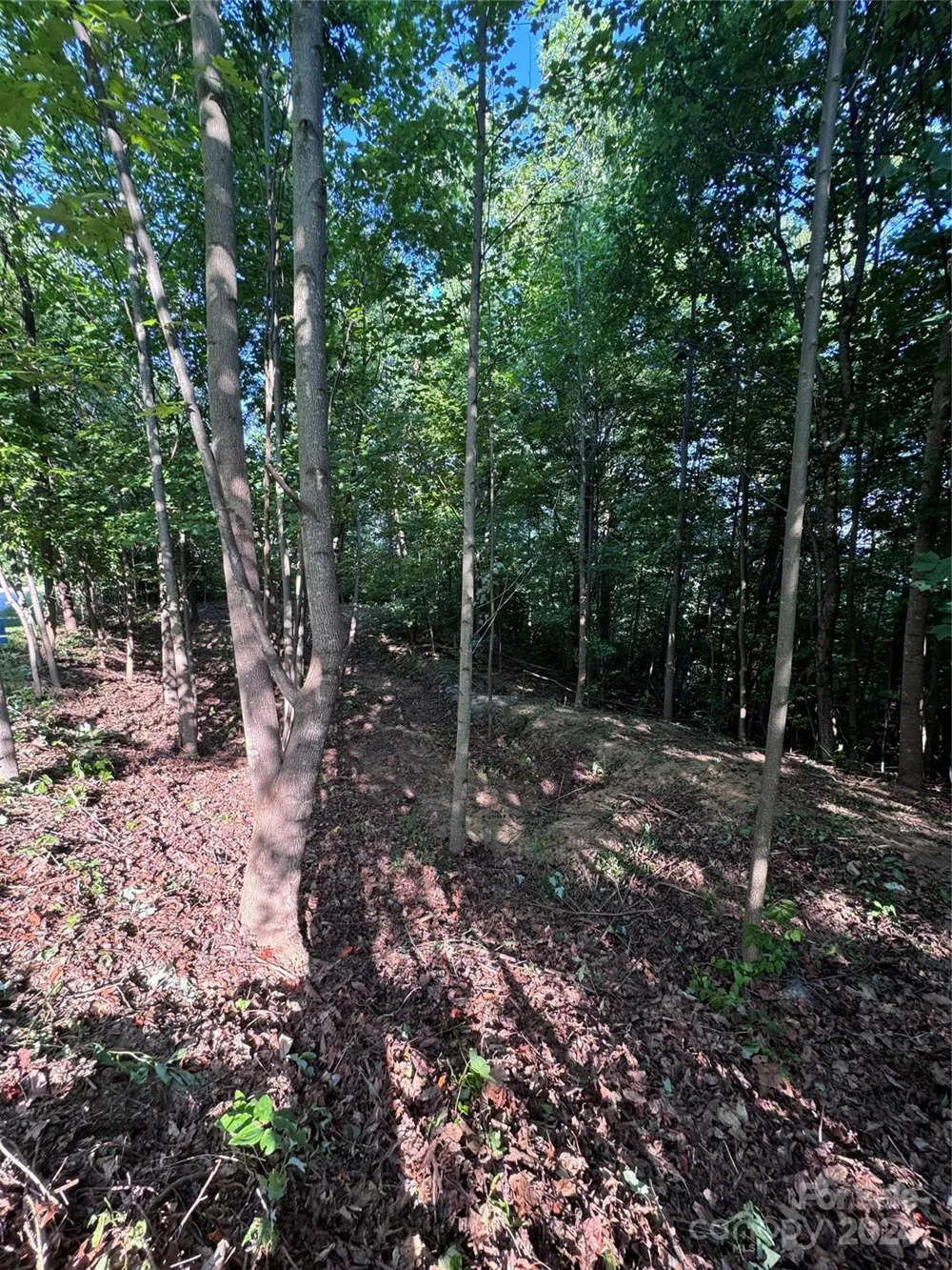 0 Holland Drive #18 Columbus, NC 28722