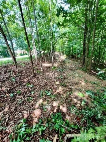 0 Holland Drive #18 Columbus, NC 28722