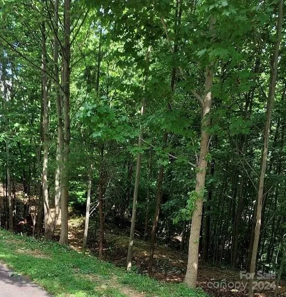 0 Holland Drive #18 Columbus, NC 28722