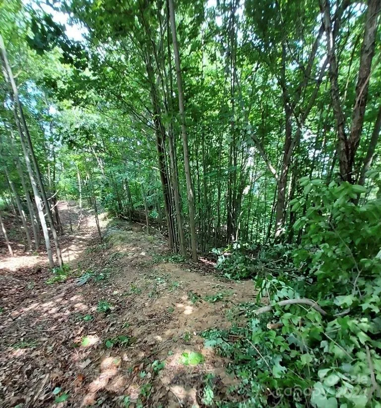 0 Holland Drive #18 Columbus, NC 28722