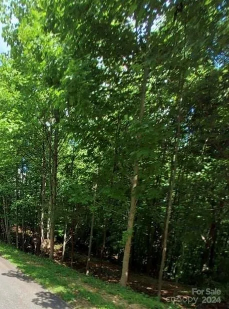 0 Holland Drive #18 Columbus, NC 28722