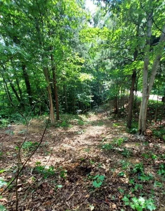 0 Holland Drive #18 Columbus, NC 28722