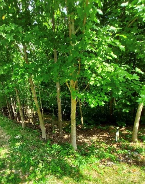 0 Holland Drive #18 Columbus, NC 28722