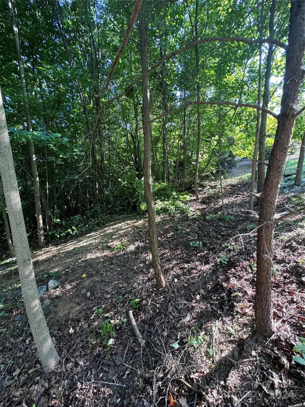 0 Holland Drive #18 Columbus, NC 28722