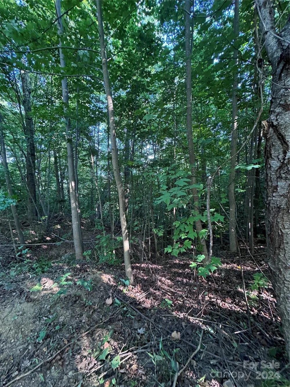 0 Holland Drive #18 Columbus, NC 28722