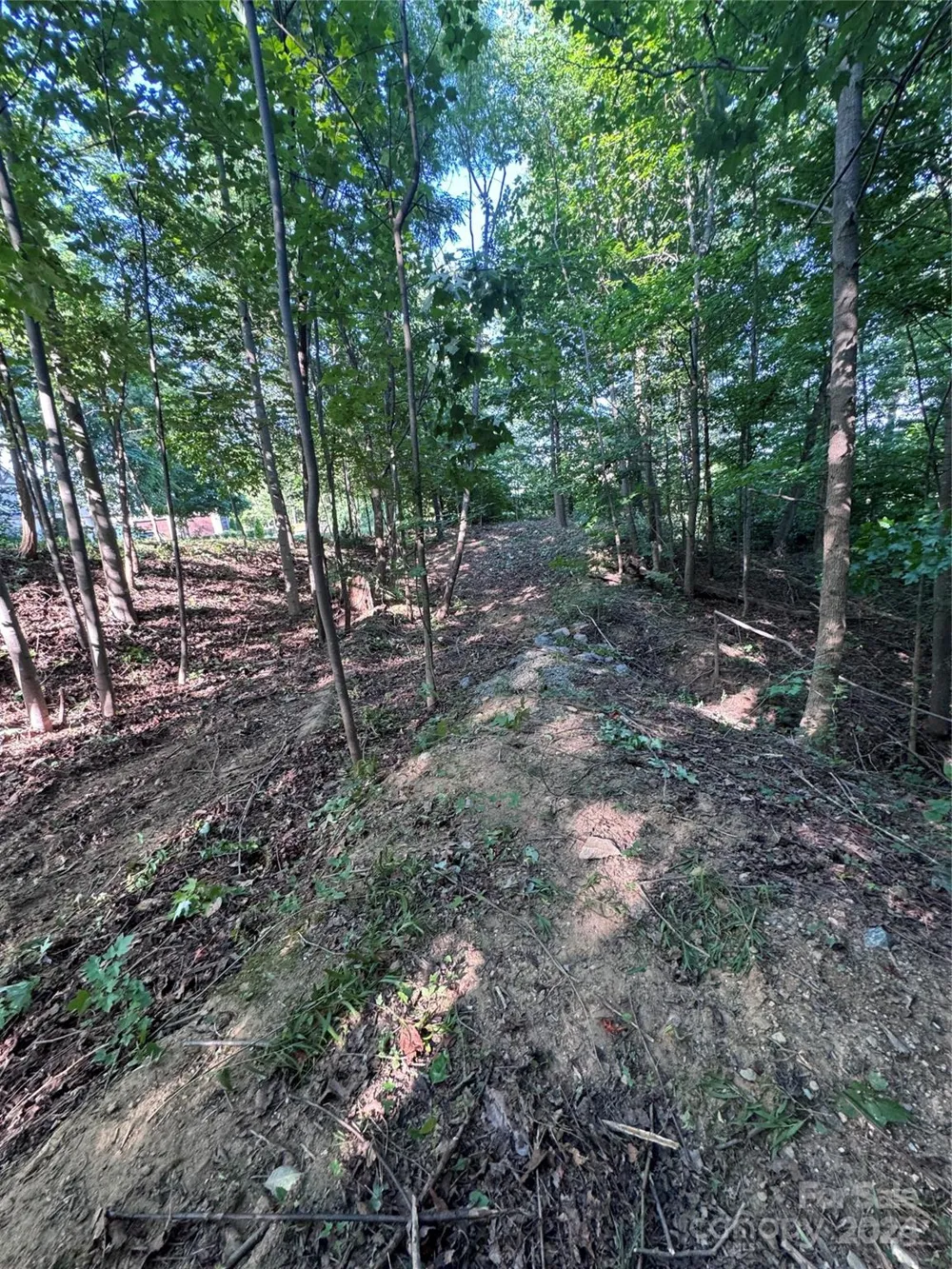0 Holland Drive #18 Columbus, NC 28722