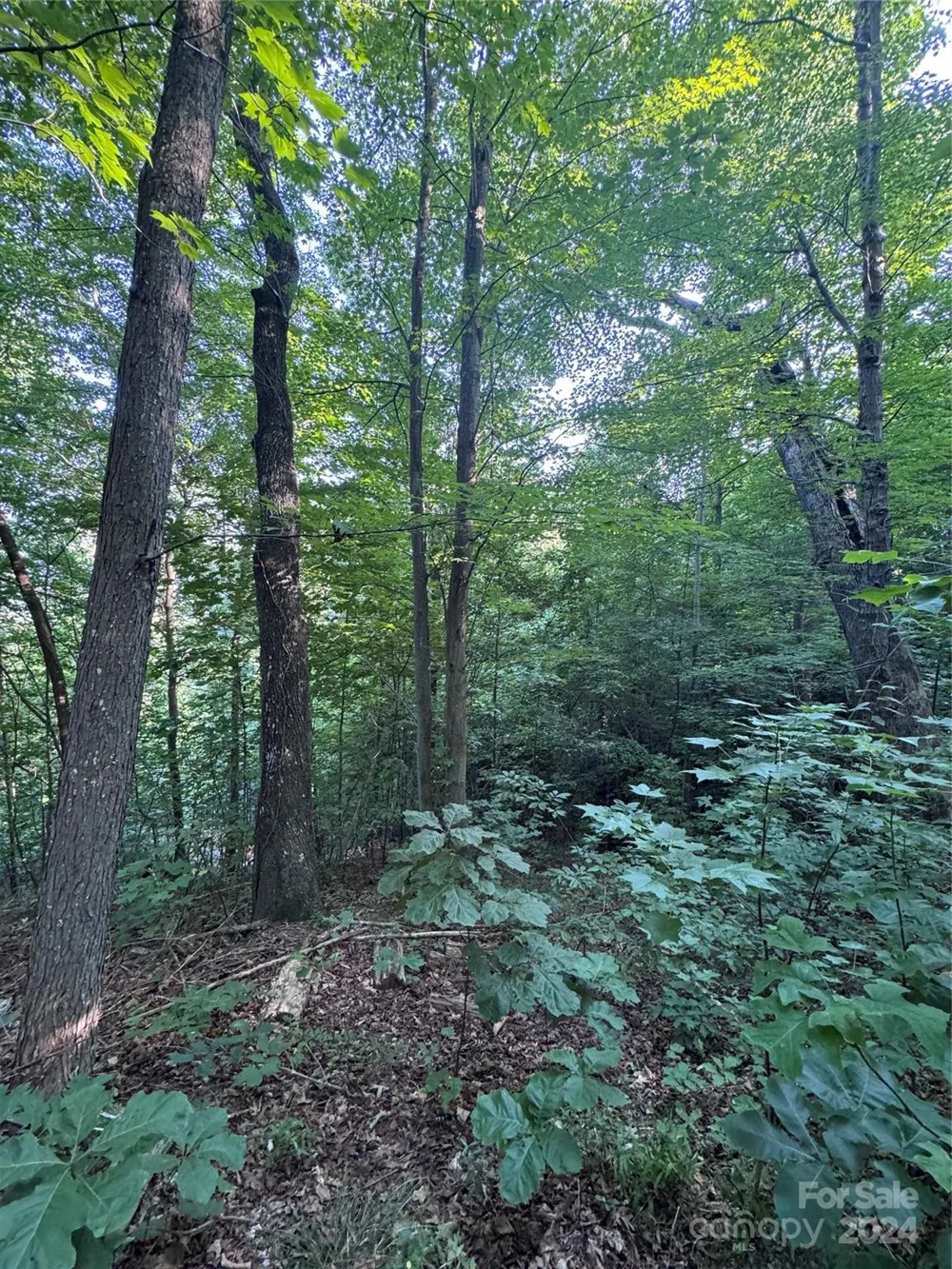 0 Holland Drive #18 Columbus, NC 28722