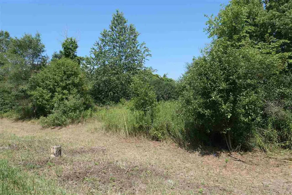 Corvallis Drive Union Charter Township, MI 48858