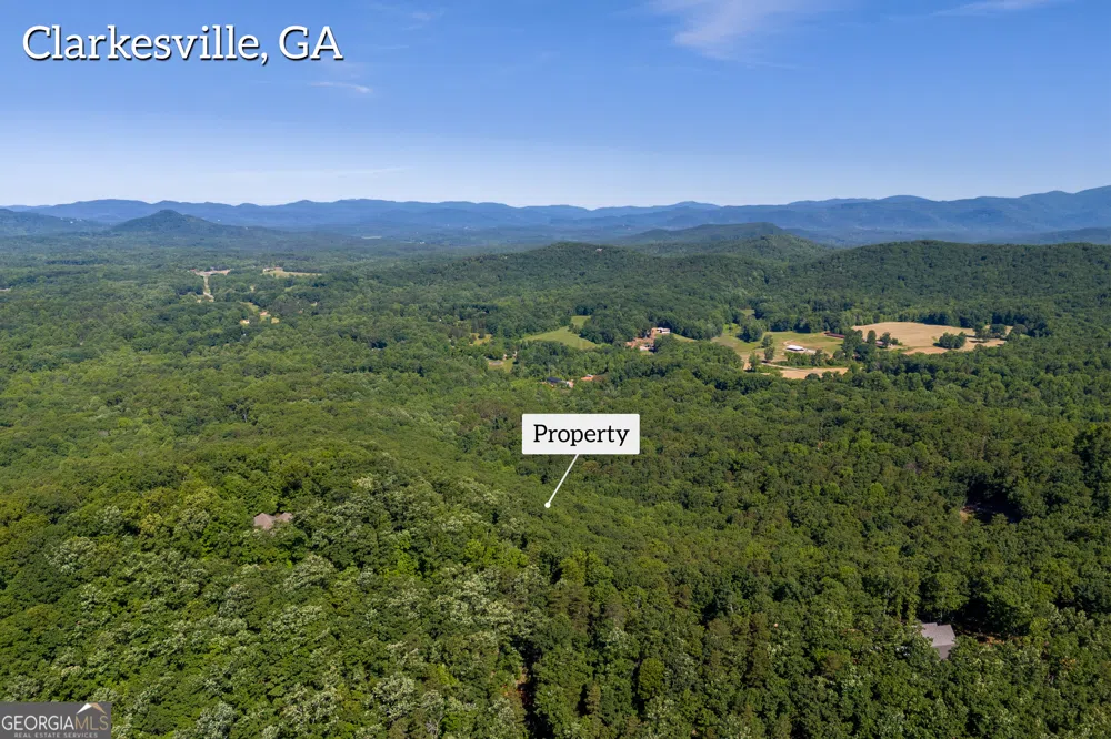 5012 Alec Mountain RD Clarkesville, GA 30523