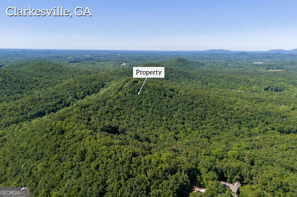 5012 Alec Mountain RD Clarkesville, GA 30523