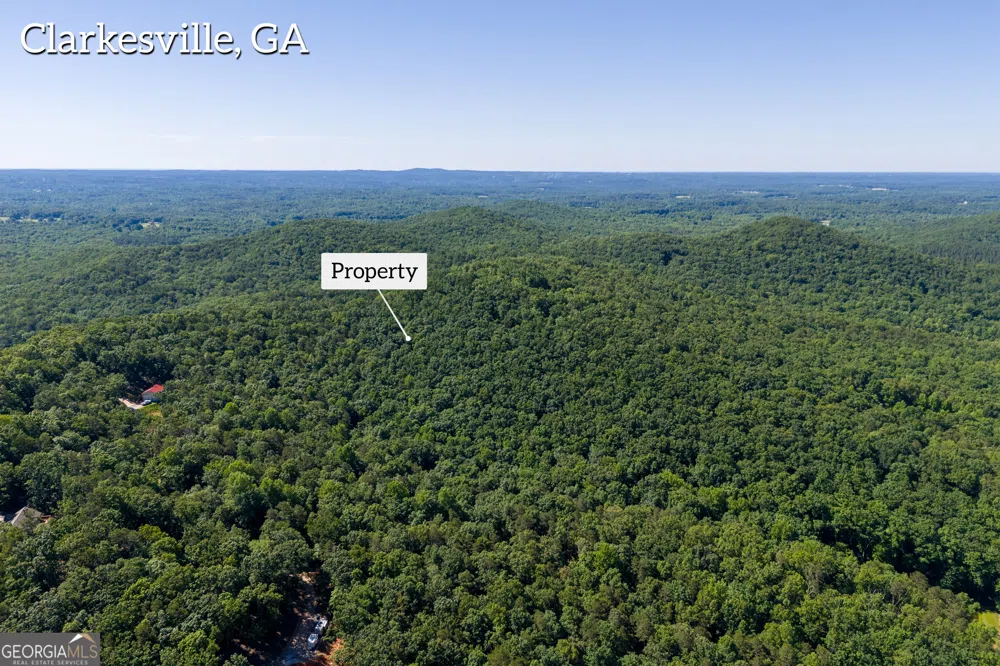 5012 Alec Mountain RD Clarkesville, GA 30523
