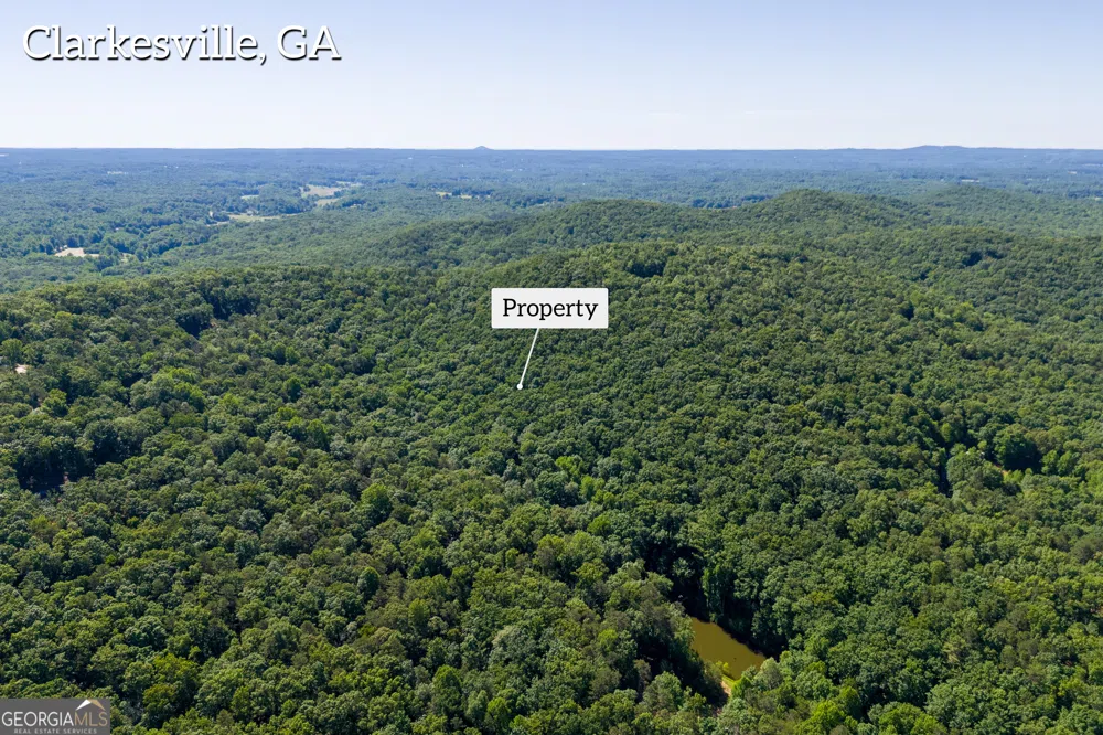 5012 Alec Mountain RD Clarkesville, GA 30523