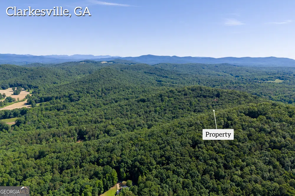 5012 Alec Mountain RD Clarkesville, GA 30523
