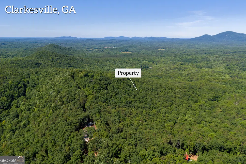 5012 Alec Mountain RD Clarkesville, GA 30523