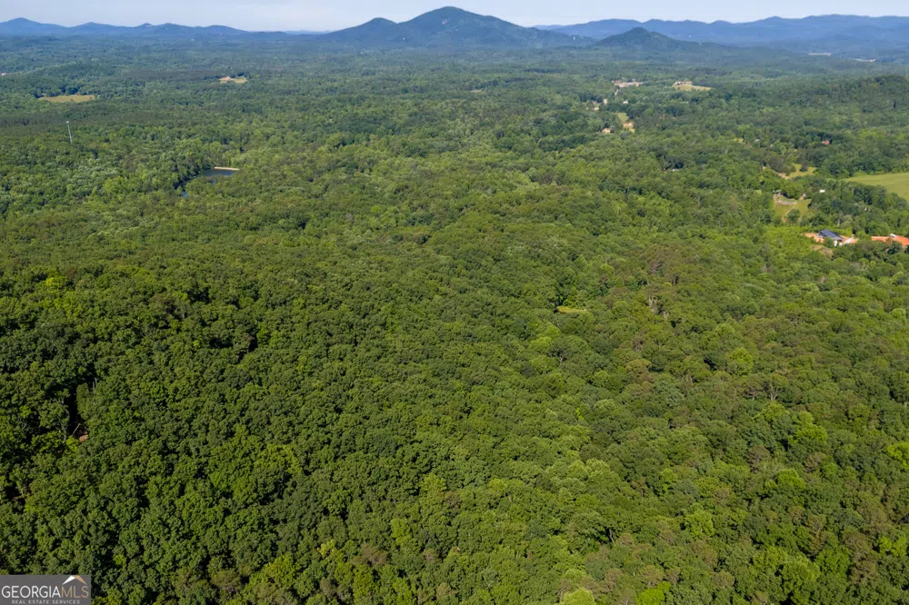 5012 Alec Mountain RD Clarkesville, GA 30523