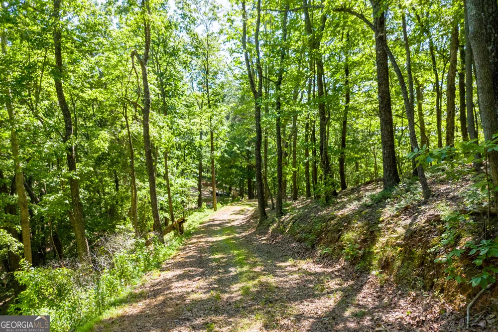 5012 Alec Mountain RD Clarkesville, GA 30523
