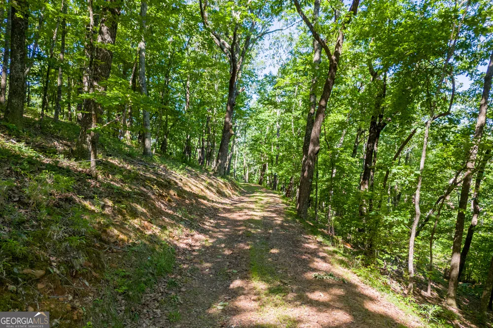 5012 Alec Mountain RD Clarkesville, GA 30523