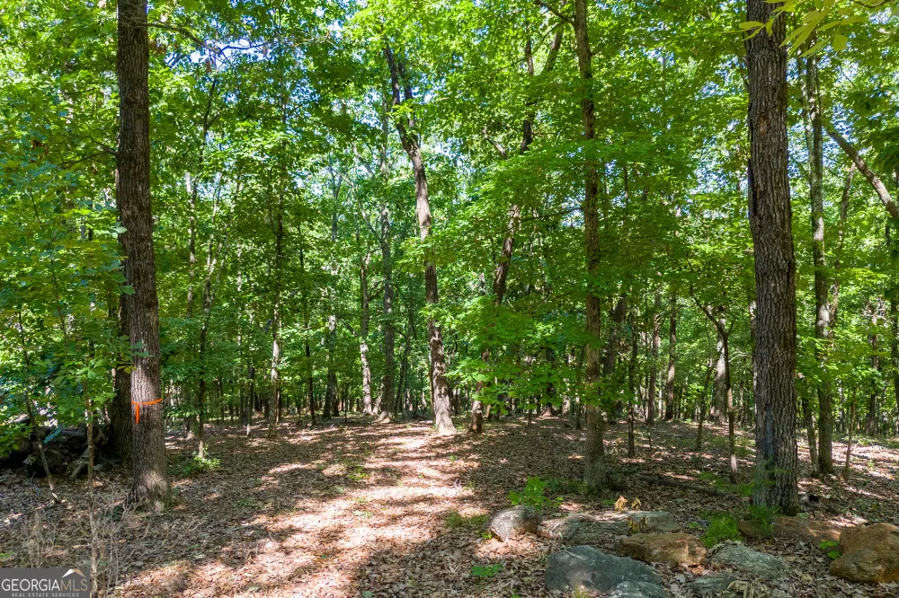 5012 Alec Mountain RD Clarkesville, GA 30523
