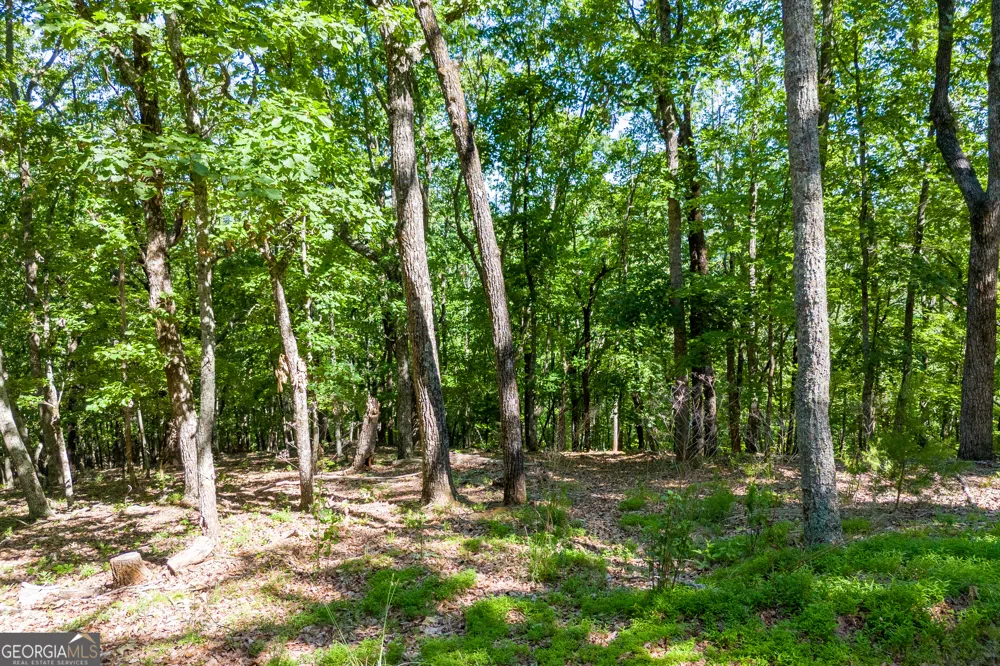 5012 Alec Mountain RD Clarkesville, GA 30523