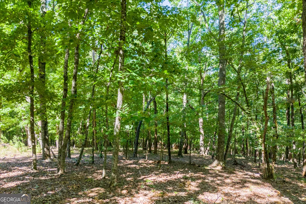 5012 Alec Mountain RD Clarkesville, GA 30523