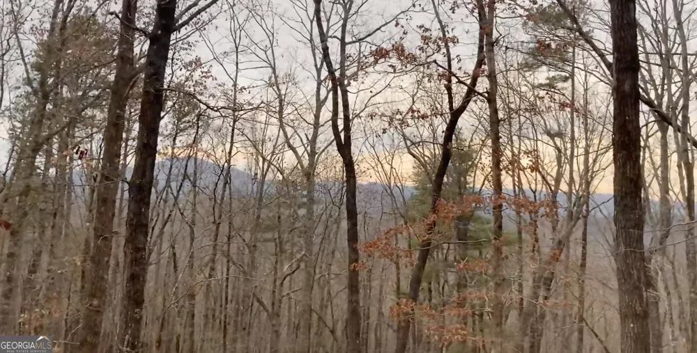 5012 Alec Mountain RD Clarkesville, GA 30523