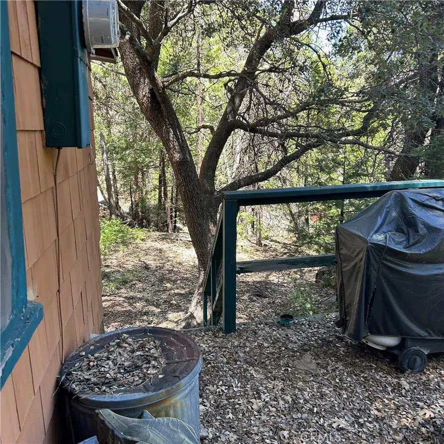 119 Barton Flats Trail Angelus Oaks, CA 92305