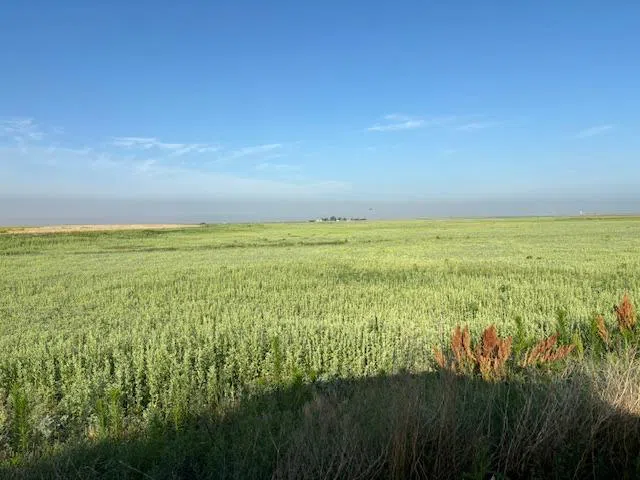 14096 W HIGHWAY 15 Other, TX 79005