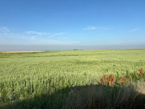 14096 W HIGHWAY 15