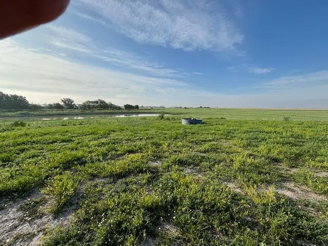 14096 W HIGHWAY 15 Other, TX 79005