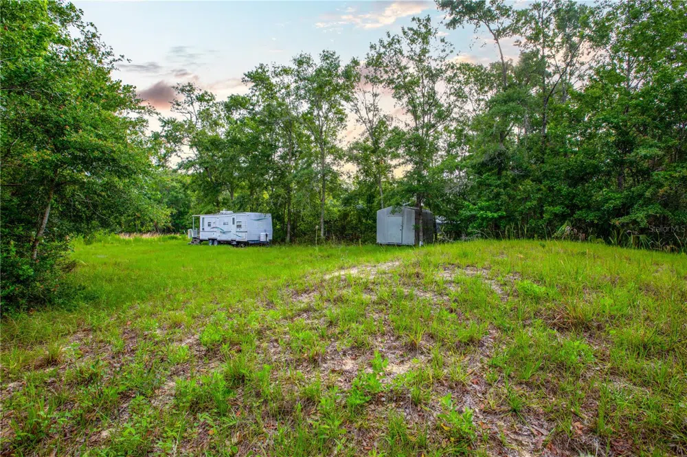 400 COASTAL OAK LANE NW Steinhatchee, FL 32359