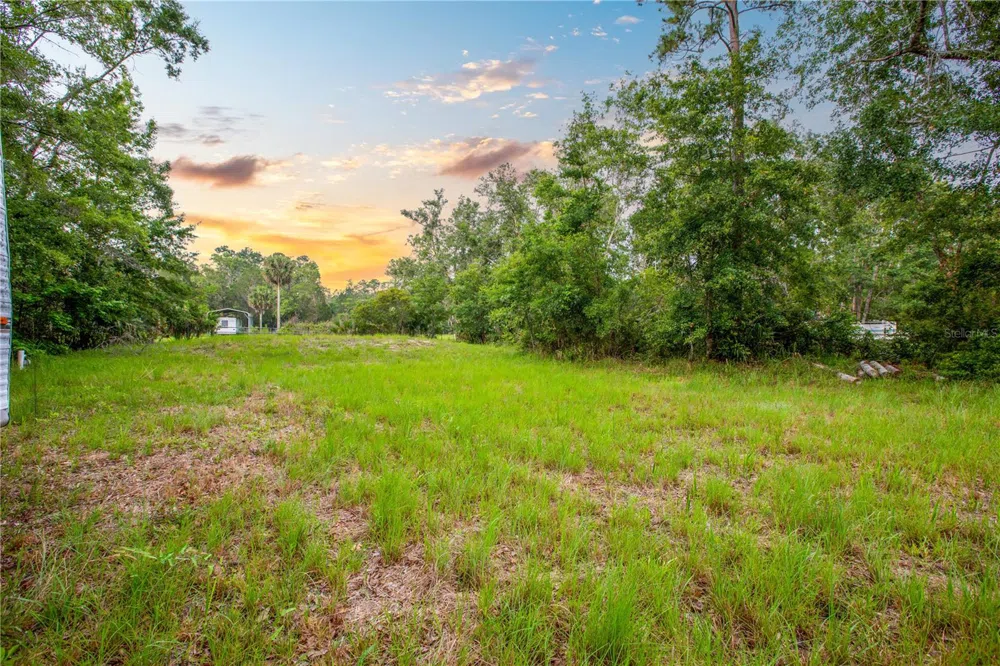 400 COASTAL OAK LANE NW Steinhatchee, FL 32359