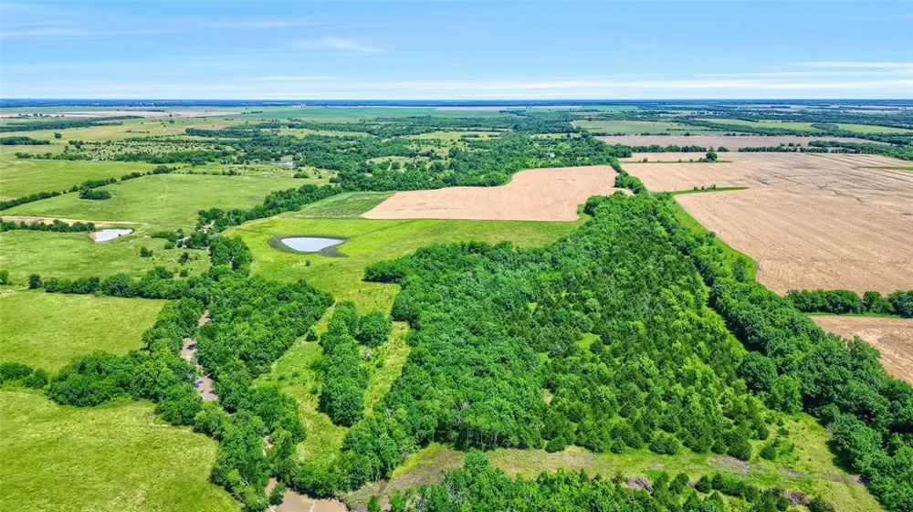 County Rd 3489 Honey Grove, TX 75446