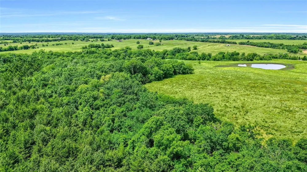 County Rd 3489 Honey Grove, TX 75446