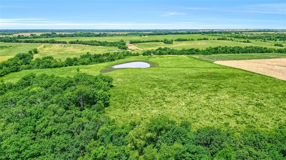 County Rd 3489 Honey Grove, TX 75446