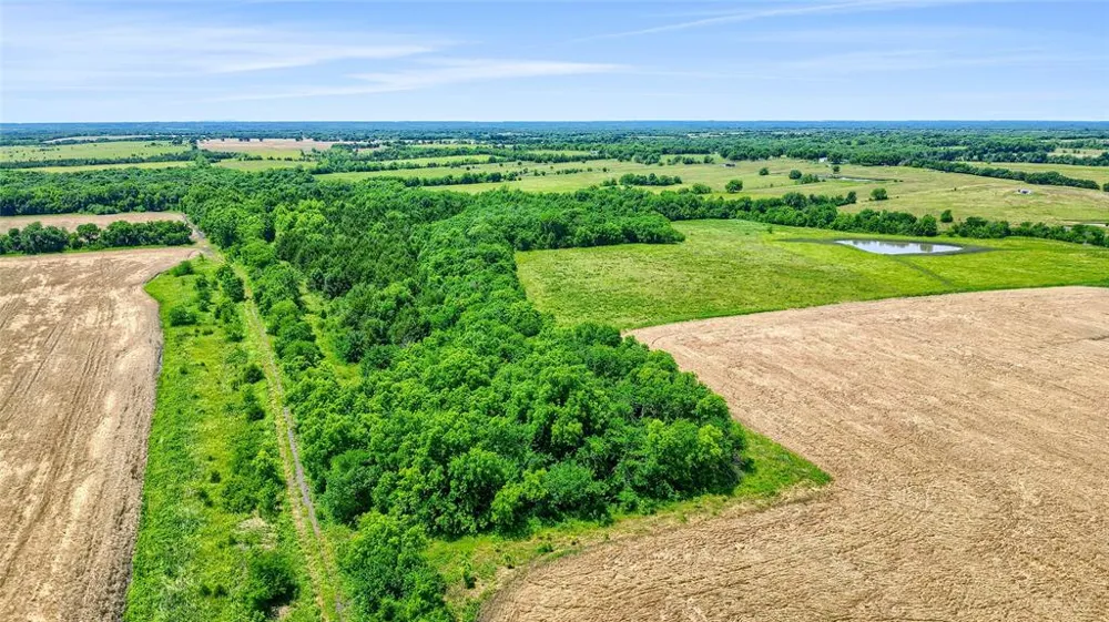 County Rd 3489 Honey Grove, TX 75446