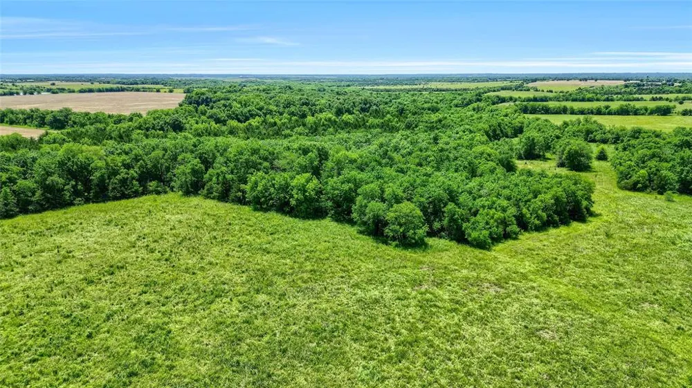 County Rd 3489 Honey Grove, TX 75446