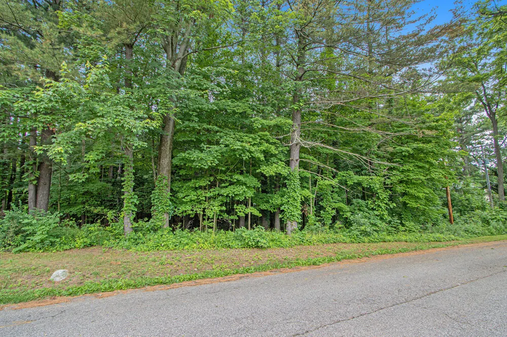 171 Thomas Street Allegan, MI 49010