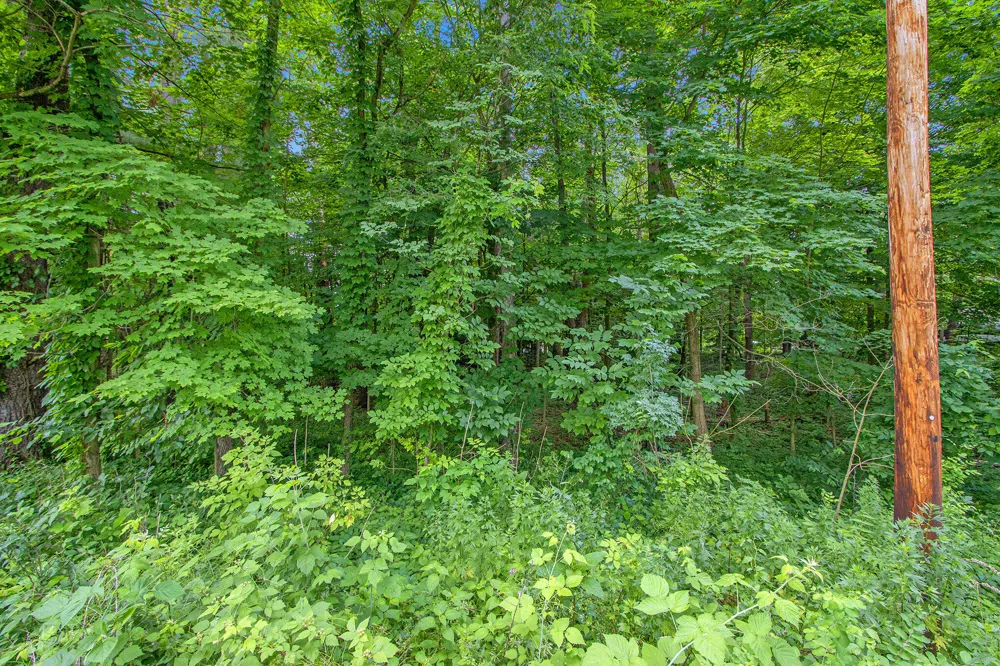 171 Thomas Street Allegan, MI 49010