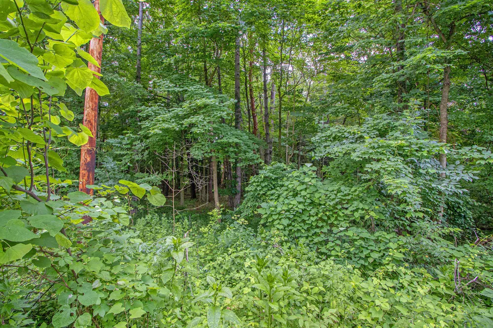 171 Thomas Street Allegan, MI 49010