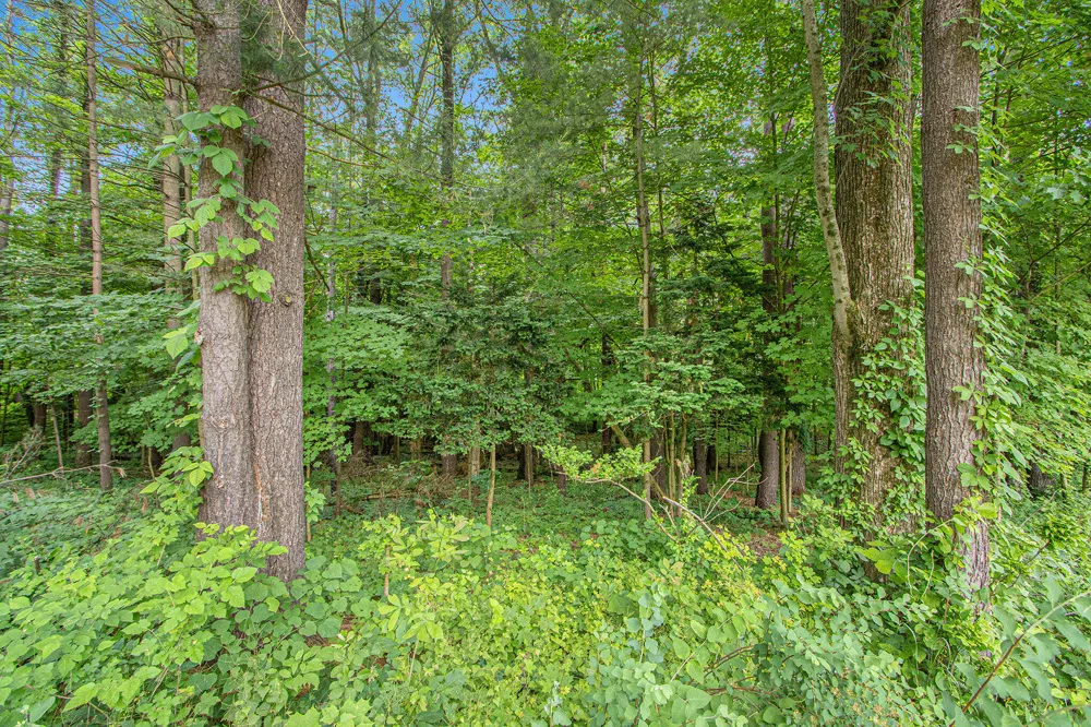 171 Thomas Street Allegan, MI 49010