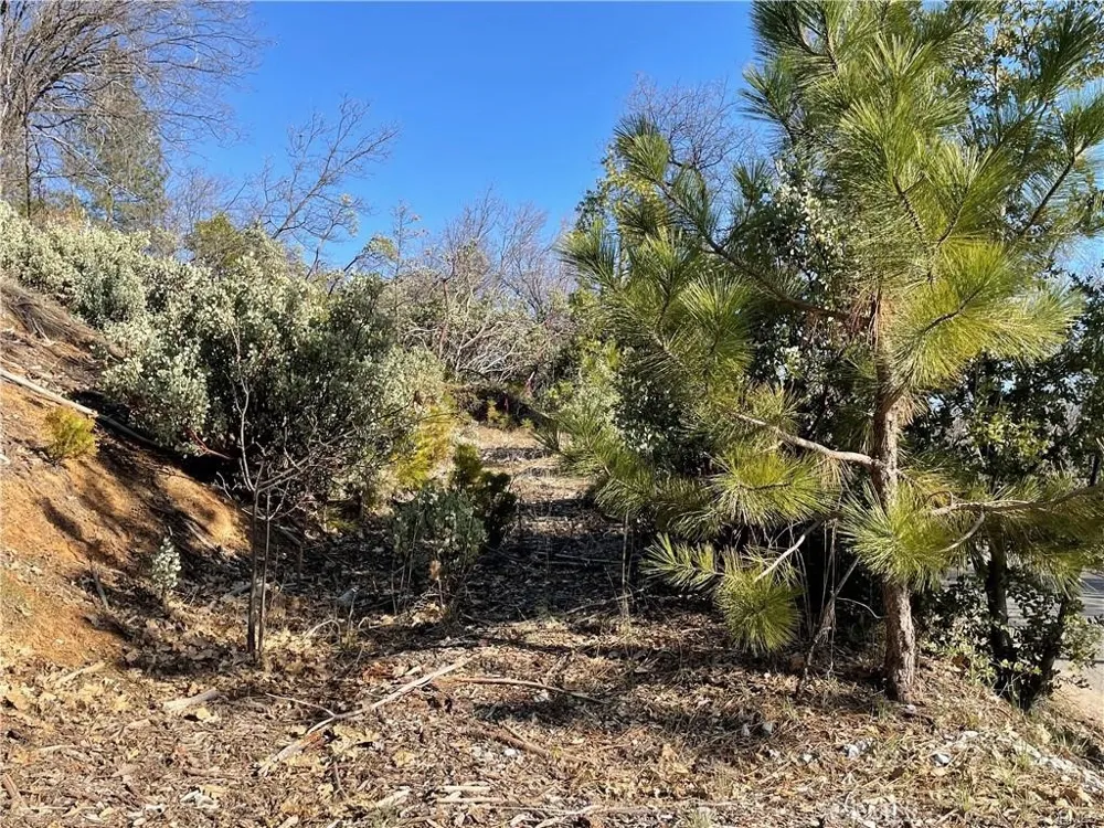 59479 Cascadel Drive North Fork, CA 93643