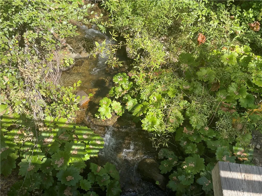 59479 Cascadel Drive North Fork, CA 93643